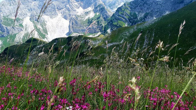 Durmitor